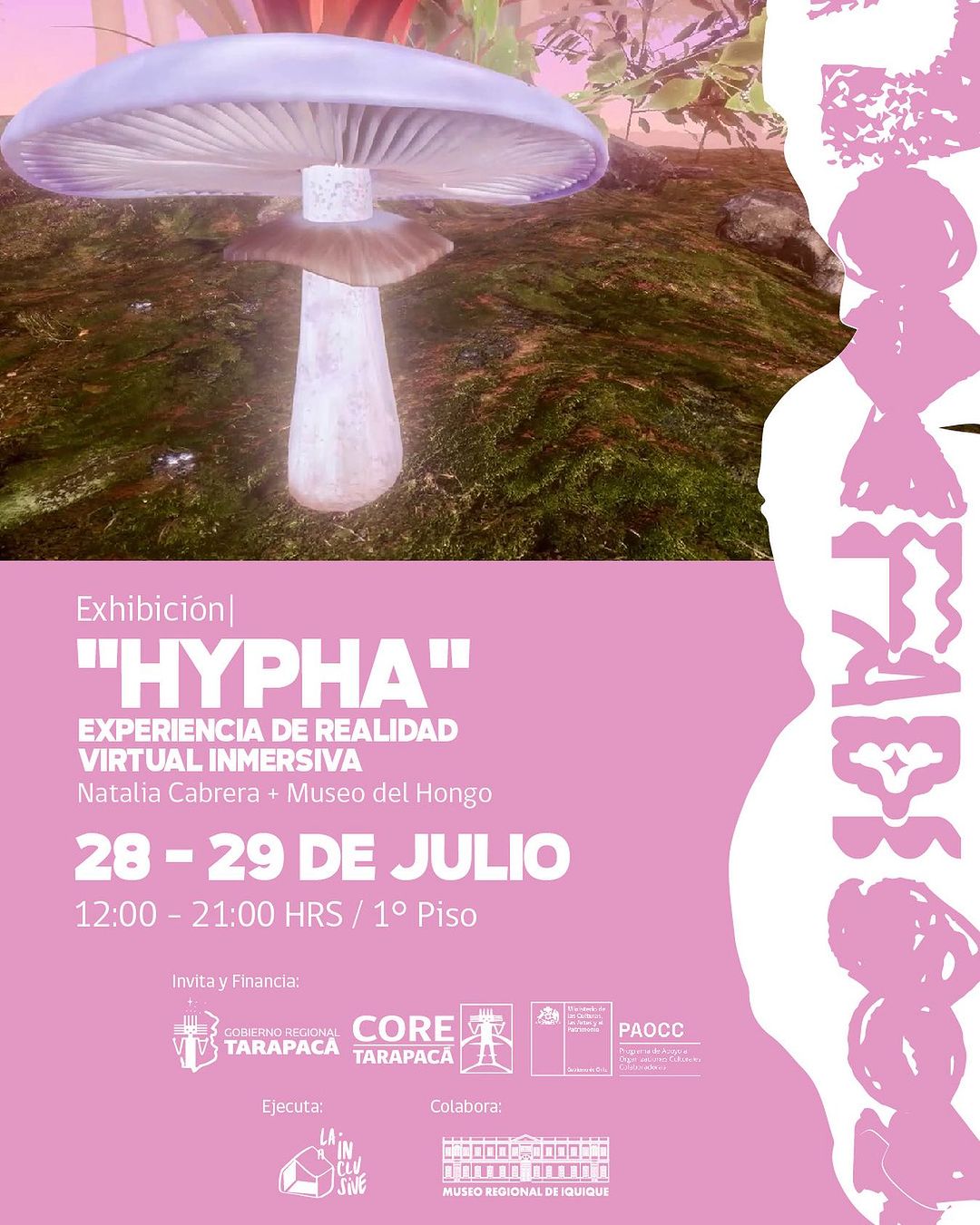 FADI 2023 – Exhibición «HYPHA» por Natalia Cabrera y Museo del Hongo