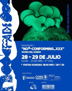 FADI 2023 – Exposición «Noᴻ-conforming_XXX» por Museo del Hongo